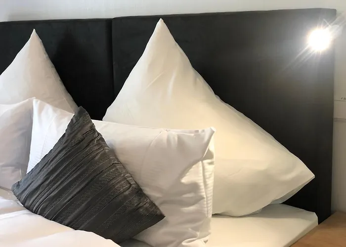 Preisinger 아파트 *
